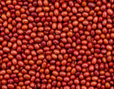 赤豆（レッドムングビーンズ）の写真