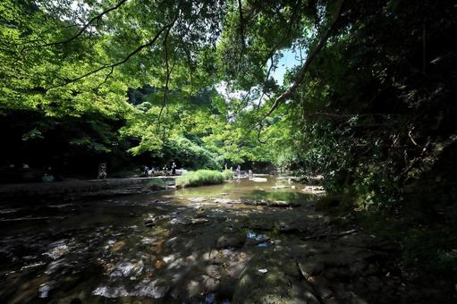夏休み 川遊びする家族 夏休み 川遊びする家族の写真