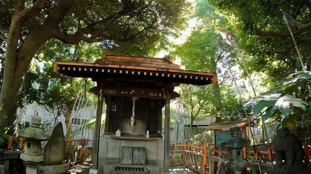 東京都墨田区横網　旧安田庭園内　駒止稲荷 駒止稲荷,江戸時代,安田庭園の写真素材