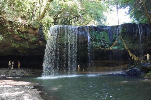 鍋ヶ滝 木,岩,草の写真素材