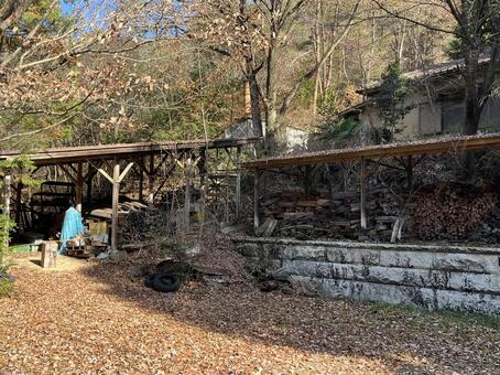 晩秋の風景 落ち葉,落葉,枯れ葉の写真素材