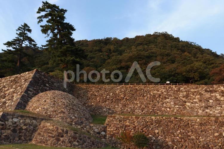 夕陽に染まる雄大な鳥取城跡の巻石垣 石垣,巻石垣,天球岩の写真素材