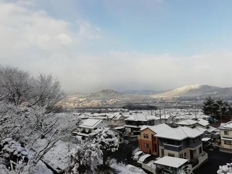 積雪の朝 積雪の朝の写真