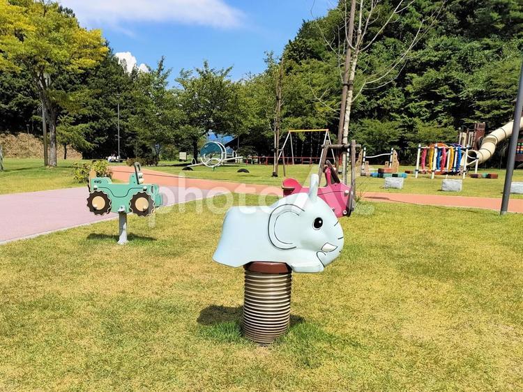 うららかな晴れた日の公園 晴れ,快晴,公園の写真素材