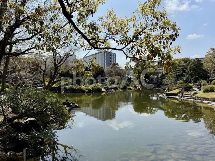 春の墨田区立旧安田庭園 春,潮入の池,隅田川の写真素材
