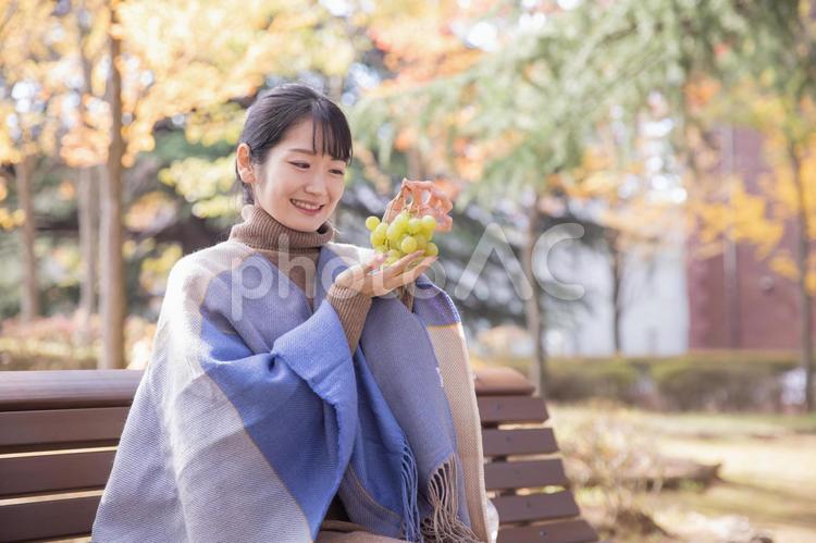秋の公園でブドウを持つ女性（笑顔） ブドウ,シャインマスカット,マスカットの写真素材