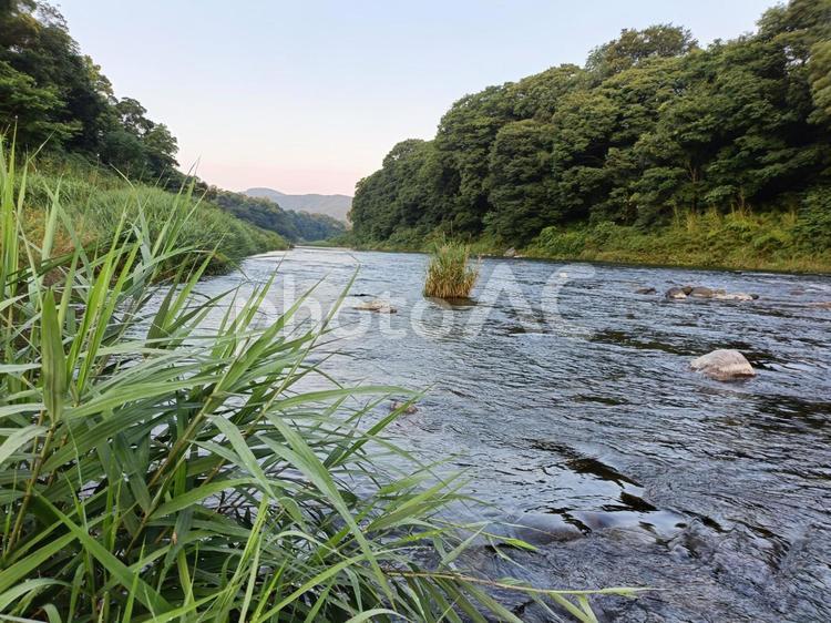 上流から滔々と流れる川の風景（長瀞） 河,川,せせらぎの写真素材