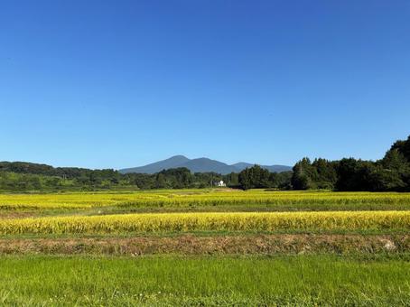 棚田と安達太良山 棚田と安達太良山 棚田,安達太良山,里山の写真素材