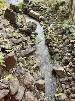 小川 小川,川,水流の写真素材