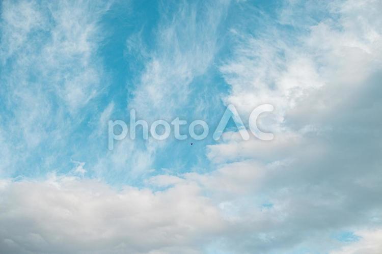 雨上がりの青い空と雲 空,曇り,ふわふわの写真素材