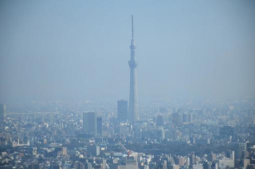 Photo, landscape, sky tree, will be, 