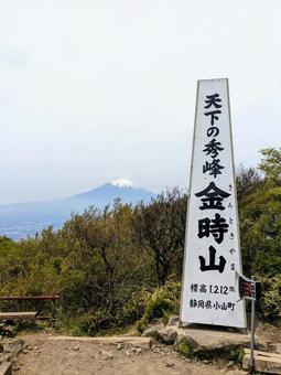 金時山 山頂から富士山 金時山 山頂から富士山の写真