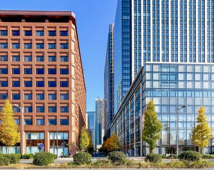 歴史的な建物と現代的な高層ビルが並ぶ通り 都市景観,銀杏並木,レンガ貼りの写真素材