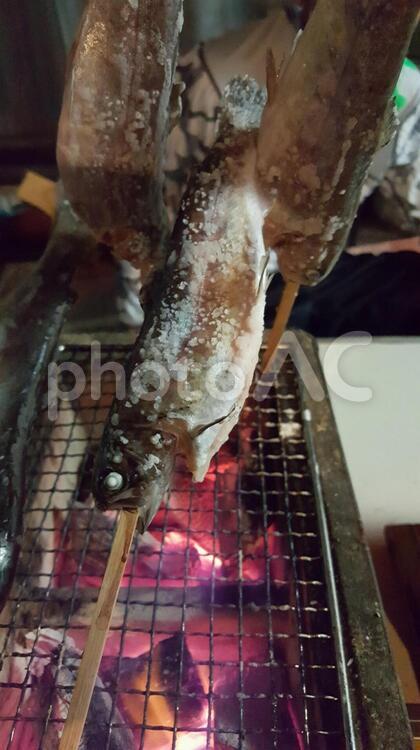 ニジマスを焼いて食べる 焼き魚,バーベキュー,炭焼きの写真素材