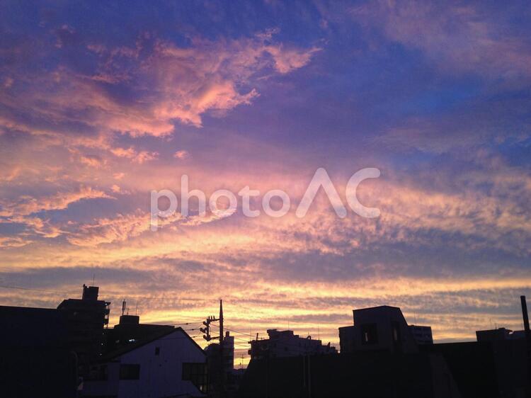 どうしようもないくらい　こみ上げるオレンジ 夕暮れ,夕闇,夕方の写真素材