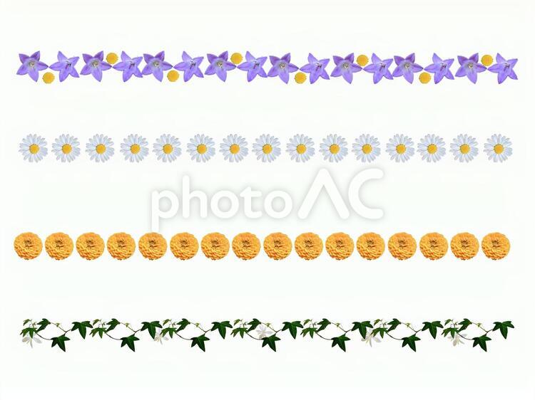 生花とアイビーのパターン　切り抜き素材（PSD） 花,アイビー,写真の写真素材