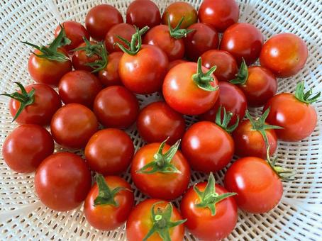 Freshly picked cherry tomatoes, JPG