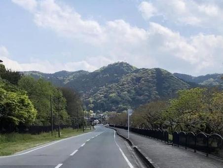 山へ続く道の写真