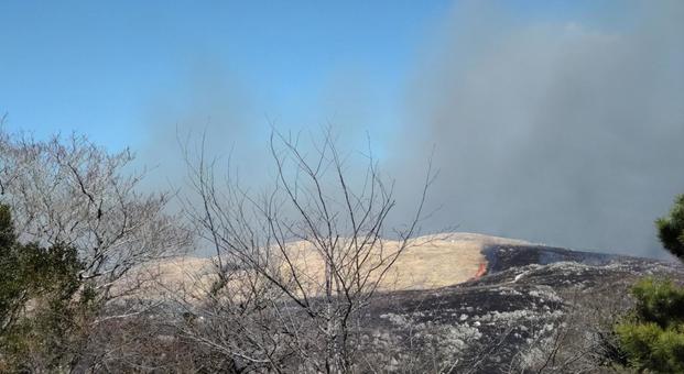 秋吉台の山焼き 秋吉台の山焼き 秋吉台,山焼き,自然の写真素材