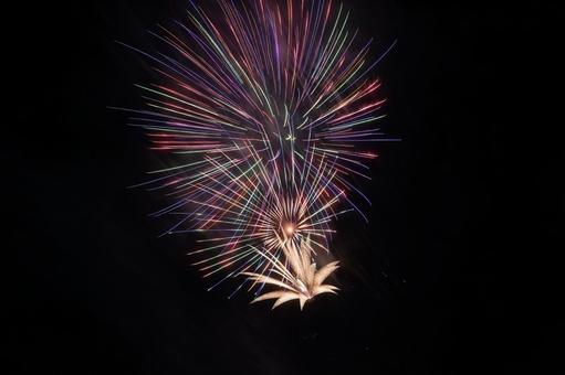 夏の夜空を彩る花火 夏の夜空を彩る花火 花火,夏,夜空の写真素材
