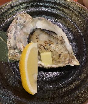 oyster, JPG