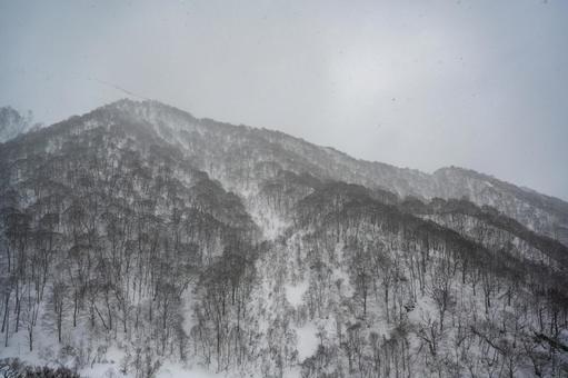谷川岳ロープウェイから見た景色 谷川岳ロープウェイから見た景色の写真
