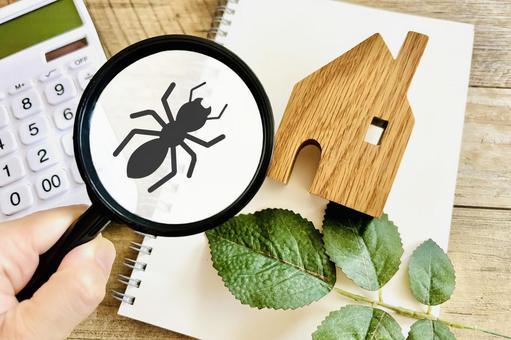  住宅とシロアリ問題のイメージ シロアリ,家,駆除の写真素材