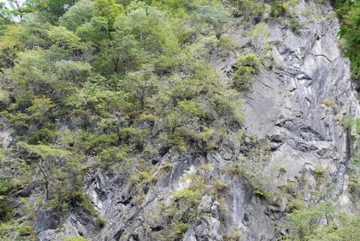 岩 岩の写真
