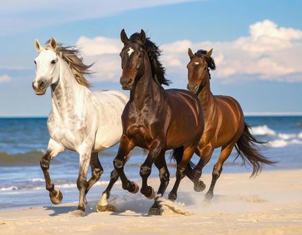 野生の馬 野生の馬の写真