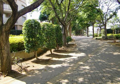 Photo, shade, a promenade, wood, 