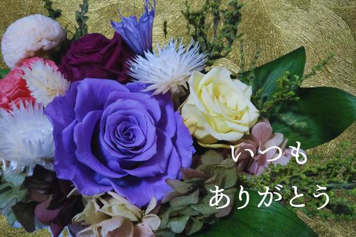 父の日のテクスチャ(紫のバラ) 父の日のテクスチャ(紫のバラ) バラ,薔薇,ばらの写真素材