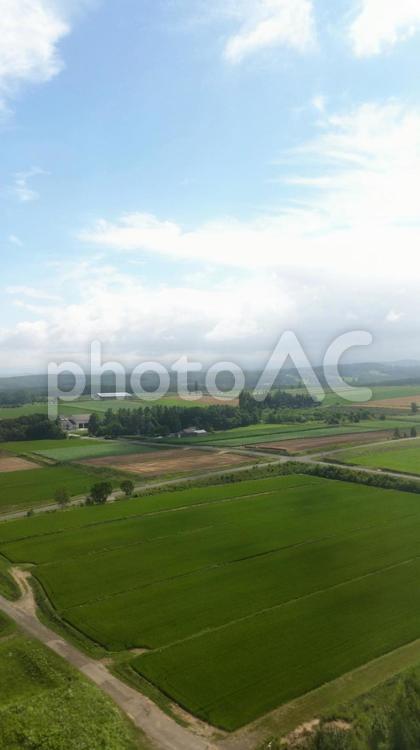 女満別空港周辺のパッチワークのような風景 北海道,道東,パッチワークの写真素材