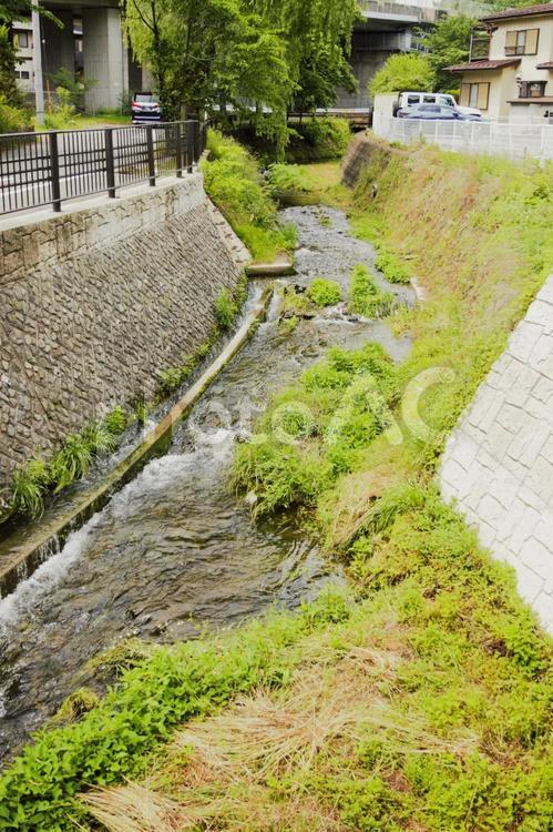 富士吉田市の風景　 富士吉田市,小川,散歩の写真素材