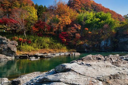 長瀞の紅葉 紅葉,長瀞,momijiの写真素材