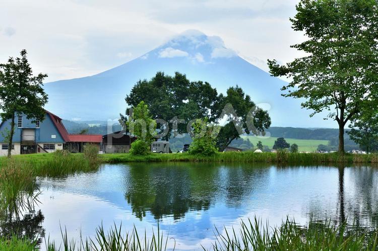池に映る逆さ富士と夏の富士山 風景,キャンプ,カーサイドの写真素材