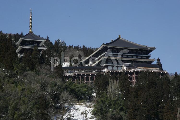 但馬大佛・川会山長楽寺 兵庫県,香美町,寺の写真素材