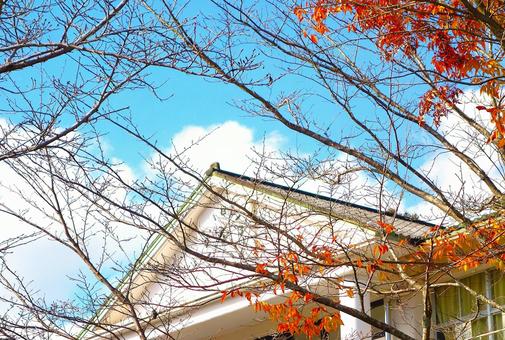 秋の時計 学校,校舎,時計の写真素材