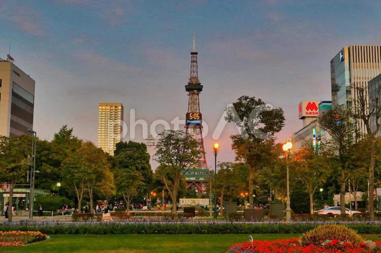 夕暮れの大通公園 大通公園,札幌テレビ塔,夕暮れの写真素材