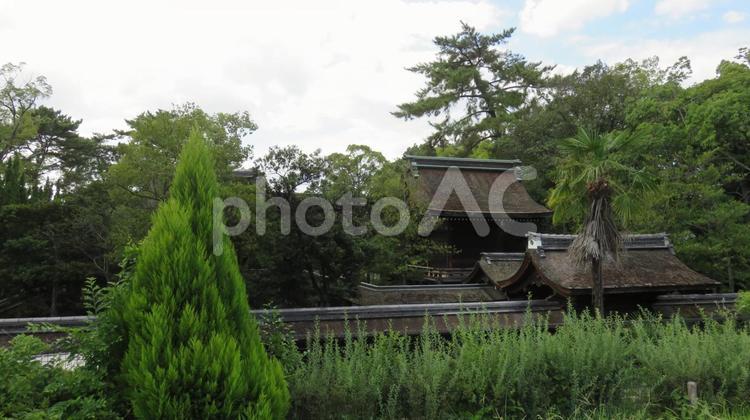 豊国神社　大仏殿跡緑地公園から 豊国神社,豊臣秀吉,豊国大明神の写真素材