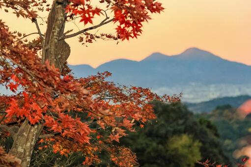 二上山 岡寺,紅葉,もみじの写真素材