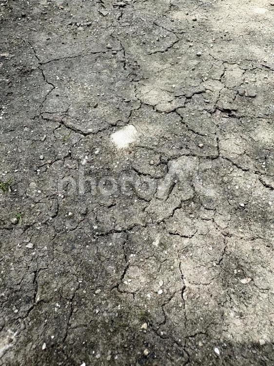 雨が降らず地割れた地面 雨不足,水不足,渇きの写真素材