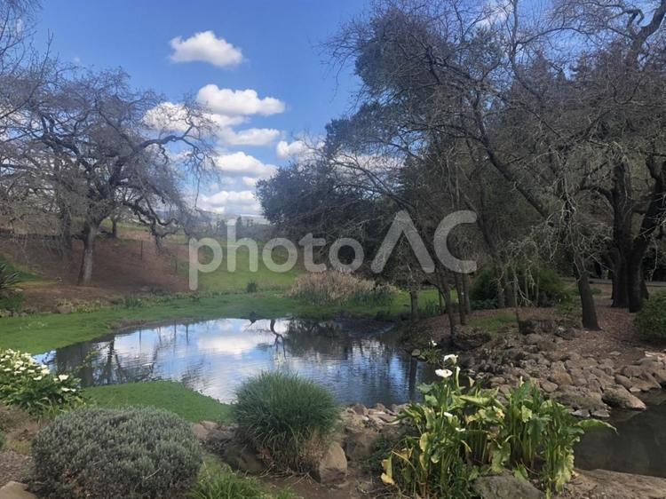 ヨーロッパの自然風景 自然,風景,ヨーロッパの写真素材