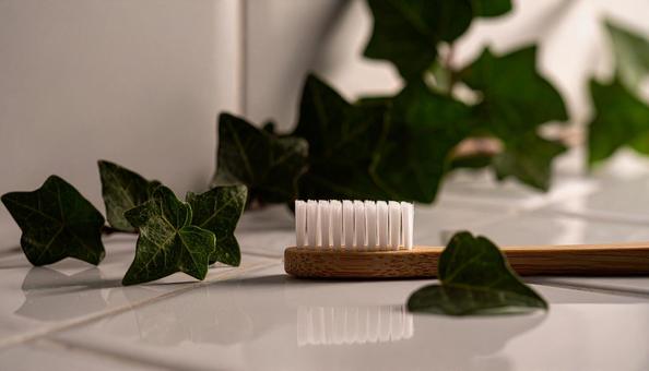 歯ブラシ 洗面イメージ 歯ブラシ 洗面イメージの写真