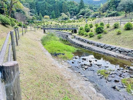 呉ダム　秋の公園 秋,呉ダム渓流公園,公園の写真素材