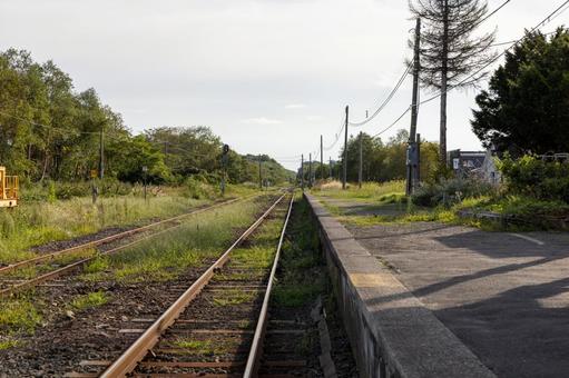 草が生えている線路とホーム 草が生えている線路とホーム 鉄道,花咲線,茶内駅の写真素材