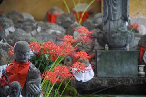 千本ゑんま堂の彼岸花の写真