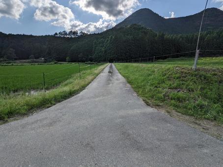 田舎の道 田舎の道の写真