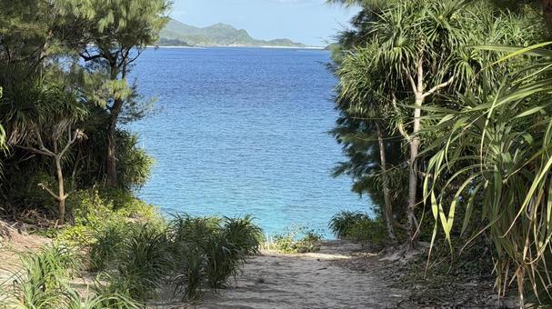 沖縄　慶良間諸島　阿嘉島 沖縄,慶良間諸島,阿嘉島の写真素材