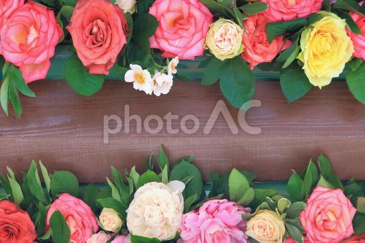 薔薇のフレーム　9 バラ,フレーム,花の写真素材