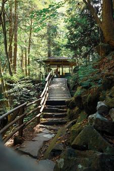 付知峡の自然 付知峡の自然の写真